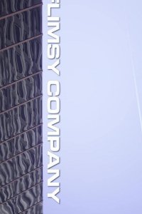 Сомнительная компания