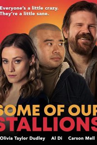 Кое-кто из наших жеребцов