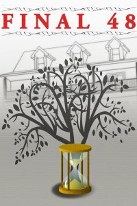 Последние 48 часов