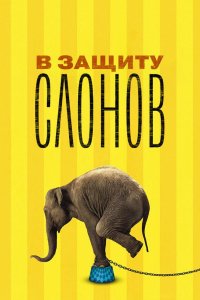 В защиту слонов